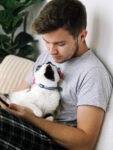 Què tan bona és la memòria d’un gat? · Parentiu
