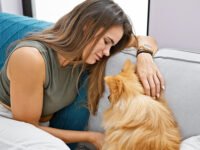 ¿Existe un plan B para los perros? Lo que necesitas saber · Parentesco