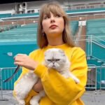 Taylor Swift revela lo salvaje que Jason Kelce les contó a sus hijos sobre los gatos · Kinship