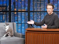 El perro frisbee de Seth Meyers, el enemigo de Andy Samberg, falleció a los 14 años · Kinship