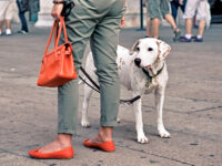 Mujer de Nueva York que se niega a recoger la caca de su perro está siendo avergonzada en los carteles · Kinship